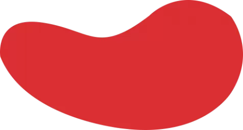 樱花岛动漫 - 樱花岛动漫在线观看免费 - 54影院